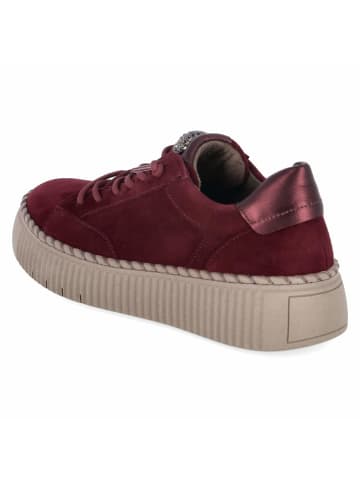 Gabor Low Sneaker in rot