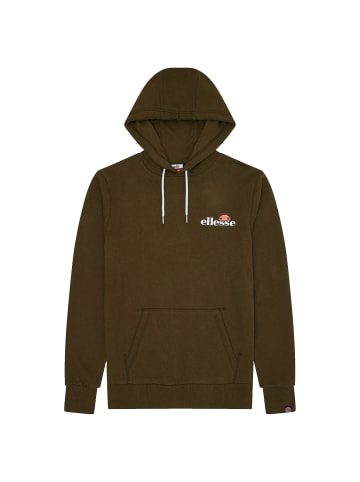 ellesse Sweatshirt in Grün