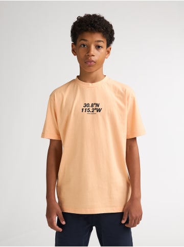 Petrol Industries Bedrucktes Jersey-T-Shirt Roca in Orange