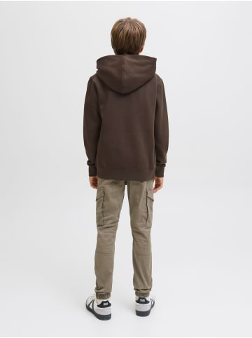 JACK & JONES Junior Kapuzensweatshirt JJESTAR JJ SWEAT HOOD JNR in delicioso