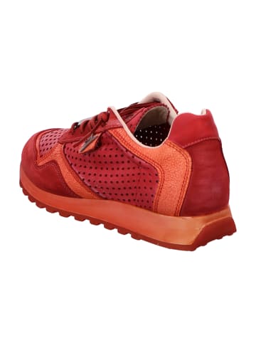 Cetti Sneaker Low in Rot