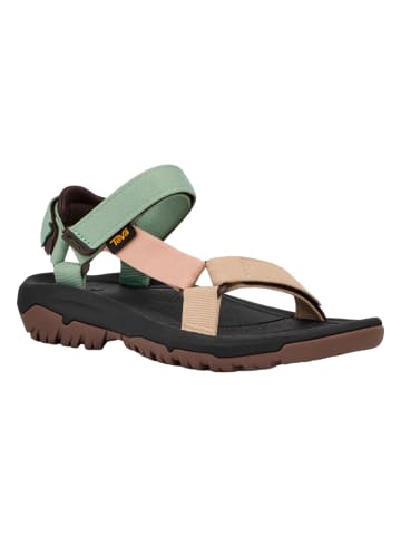 Teva Sandalen in basil/ maple sugar multi