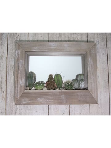 MeinVIPShop Wunderschönes Kakteen Arrangement 38cm im braunen Holzrahmen