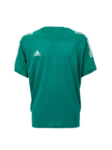 adidas Shirt Condivo 20 Trainings Aeroready in Grün