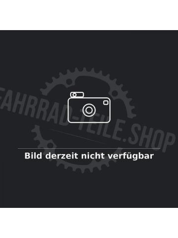 BASIL Helm Maestro MIPS RideBeyondCrew M - sicherer, gut belüfteter