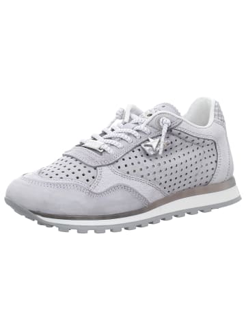Cetti Sneaker Low in grau