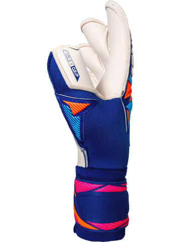 Reusch Torwarthandschuhe Attrakt Gold X Evolution in 4126 sharp blu/wht/shock orng