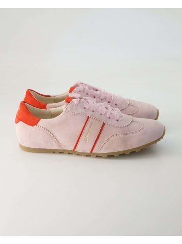 Paul Green Sneaker low in Rosa