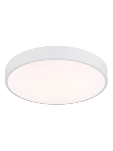 Globo lighting Deckenleuchte "NIELSEN" in white