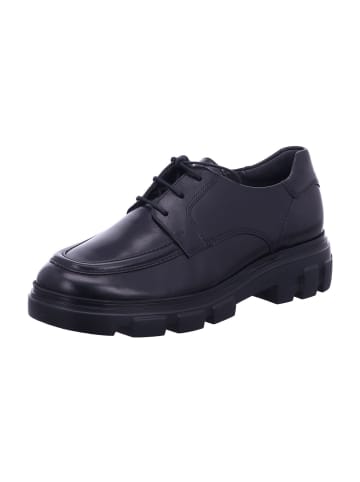 Paul Green Schnürschuh in Schwarz Matt