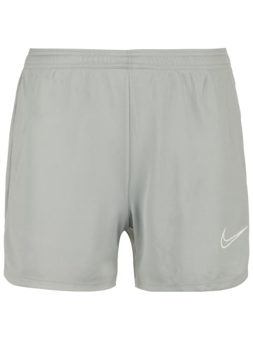 Nike Performance Trainingsshorts Academy 21 Dry in hellgrau / weiß