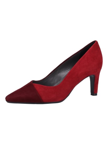 PETER KAISER Pumps in Rot