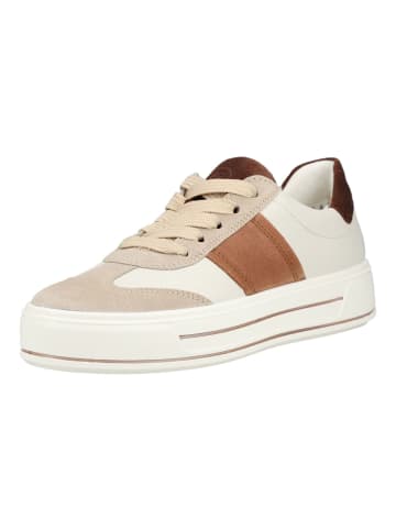 ara Sneaker in Weiß/Braun