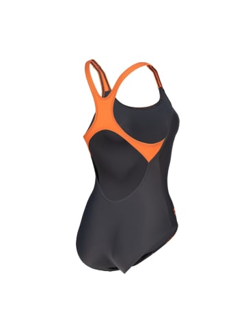 Arena Branch Badeanzug MaxFit ECO in Grau