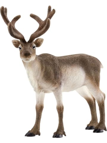 Schleich Rentier in Mehrfarbig ab 3 Jahre