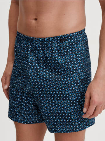 Calida Boxershorts in nordic