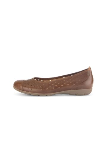 Gabor Fashion Elegante Ballerinas in braun