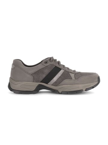 Gabor Sneaker low in grau