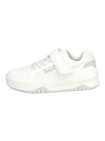Geox Sneaker in Weiß/Grau