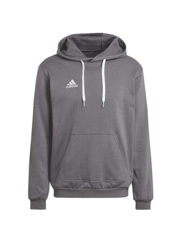 adidas Performance adidas Entrada 22 Sweat Hoodie in Grau