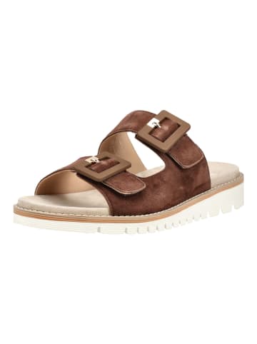 ara Pantoletten in Mocca