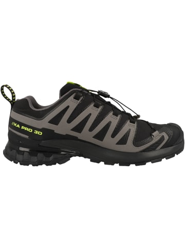SALOMON Laufschuhe XA PRO 3D V9 GTX in dunkelgrau