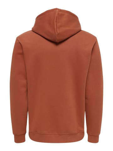 ONLY & SONS Kapuzenpullover in Sequoia