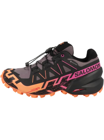 SALOMON Laufschuhe Speedcross 6 GTX in grau