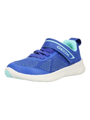 Geox Sneaker in Royal