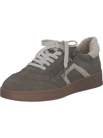 Marco Tozzi Schnürschuhe in TAUPE COMB