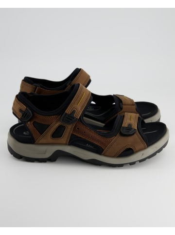 Ecco Sandalen in Braun