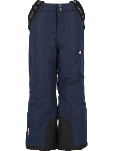 Zigzag Skihose Provo in 2002 Navy
