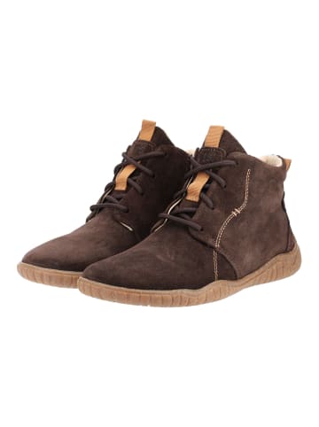 Josef Seibel Stiefelette WYNONA 05 in Chocolate