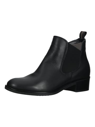 ara Stiefelette in Schwarz