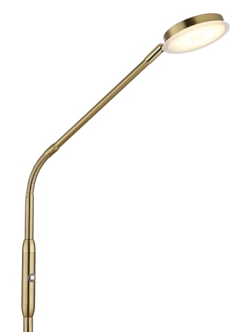 Globo lighting Stehleuchte "SILVIO" in gold