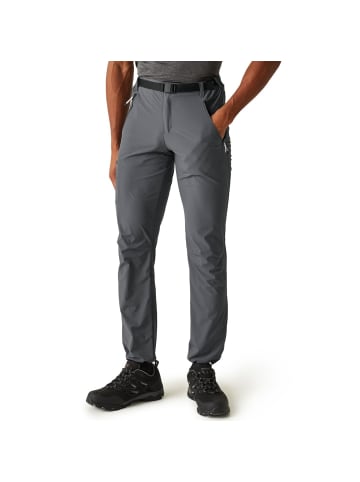 Regatta Xert Stretch III Herren Wanderhose mit Gürtel in Kurzgröße in grau