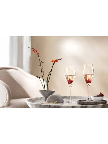 Villeroy & Boch 4er Set Champagnergläser La Divina in Transparent 260 ml in transparent