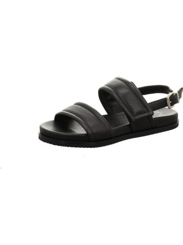 Truman's Sandalen in schwarz