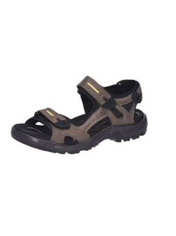 Ecco Sandaletten in tarmac moon rock