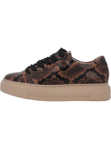 Paul Green Schnürschuhe in Sisal