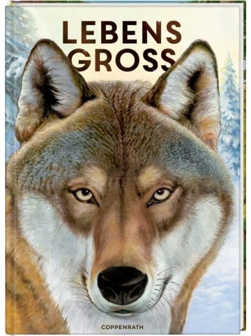 Coppenrath Lebensgroß | Tiere des Waldes