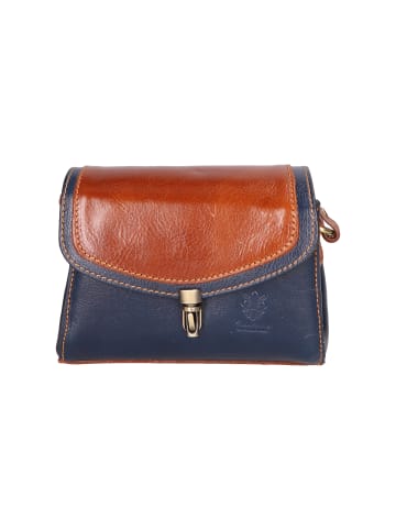 Gave Lux Crossbody in BLUE + BROWN