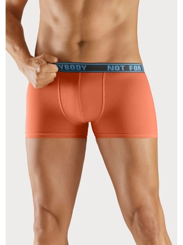 Bruno Banani Boxer in hellgrün / türkis / orange / navy