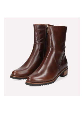 Everybody Stiefelette BEE Kastanie