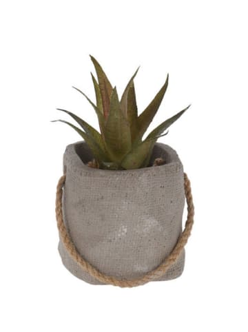 Home&Styling Collection Kunstpflanze in grau