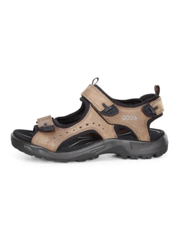 Ecco Outdoorschuh in braun