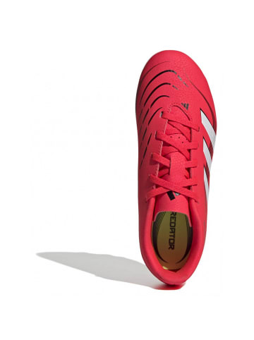 adidas Fußballschuh  Predator in Rot