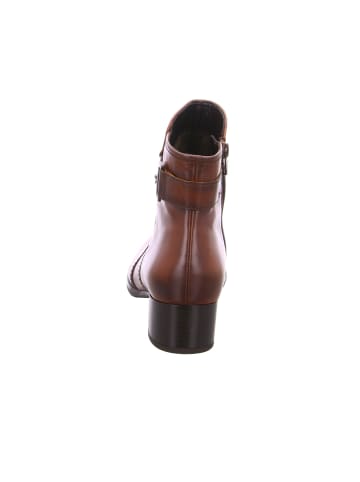 Gabor Stiefeletten für Damen in braun