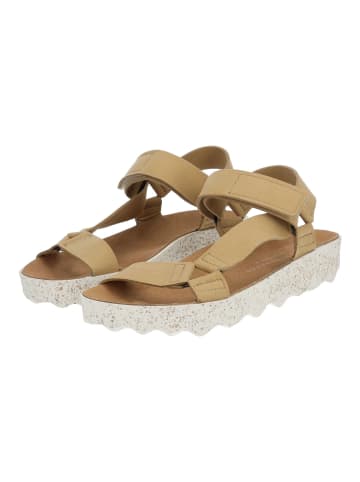 ASPORTUGUESAS Sandalen in Tan