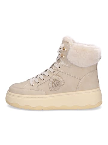 BLAUER USA Schnürboot Maribel in Taupe